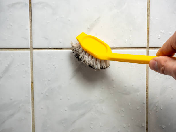 Home Mold Removal in Mccleary, WA