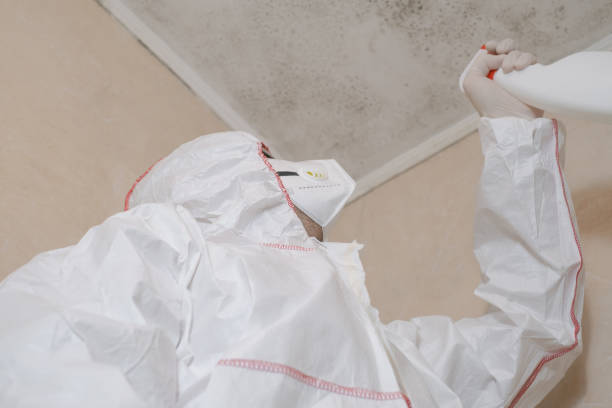 Best Commercial Mold Removal  in Mccleary, WA